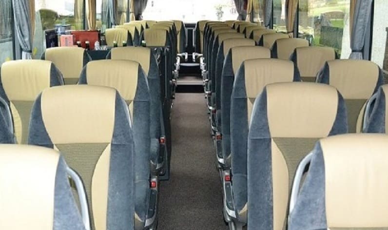 France: Coach operator in Grand Est in Grand Est and Metz